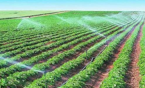 想搞B免费农田高 效节水灌溉